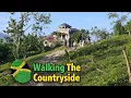 The Road Less Seen Goodhope To Evergreen Walking Tour