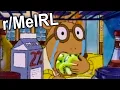 When Kiwis Give Serotonin