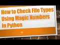 How to Check File Types Using Magic Numbers in Python