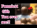 Funniest Gifs - I bet you can t stop laughing