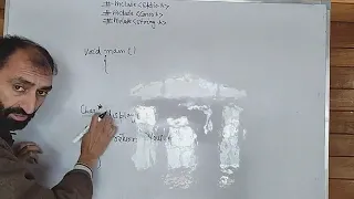 C - 74 Returning string from the function in C In Kashmiri by Yousuf Sir