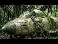Lagu We Rescued This Korean War F‑86 Sabre From the Jungle – Full Fighter Jet Restoration