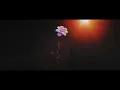 Shawn Mendes & Zedd - Lost In Japan (Remix) (Official Lyric Video)
