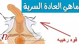 ماهي العادة السرية من الذي يمارس العادة في اي عمر الذي يمارس اضرار فوئد العادة الجنسية 