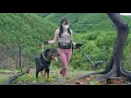 Lagu De onschatbare schat die mijn hond vond, schokte de archeologische wereld