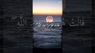 كلما دخل عليها زكريا المحراب القاريء الشيخ السيد سعيد 