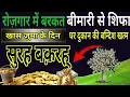 Download Lagu Surah Baqarah fast tilawat | सुरह बक़रह | Al-Baqarah full ( quick recitation ) 002  @JAVEDVOICE3M