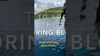 Finding a Mooring Anchor #typhoon #japan #travel #sailing ng