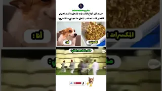 اكلت نص المكسرات فالأخير ما اشتريت    ساخرعبود تحشيش ضحك                                             دندنها