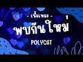 เพลงเก่าเพราะๆ : พบกันใหม่ - POLYCAT  (โพลี่แคท) เนื้อเพลง ถ้าเธอรักใครมากสักหนึ่งคน