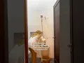 Download Lagu Ngerti kan? Ngerti dong masa enggak.