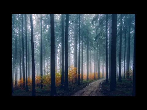 Best of House Music Mix 1 Hour 2020