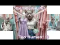 Download Lagu Kehidupan Sehari-hari Kucing Menjadi Viral!