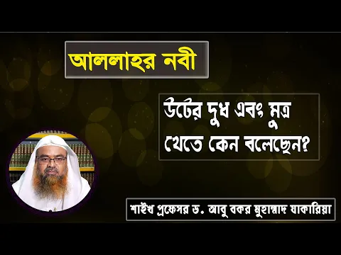 প্রশ্ন : আল্লাহর নবী উটের দুধ এবং মূত্র খেতে কেন বলেছেন? শাইখ প্রফেসর ড. আবু বকর মুহাম্মাদ যাকারিয়া