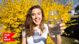 Water is Everything | Boat Life Ep. 44