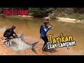 Download Lagu TARIKAN IKAN LAMPAM | JETI KAHANG