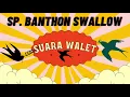 Download Lagu Suara Banthon Swallow 2012 Teruji!!