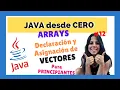 VECTORS Declaration and Assignment JAVA for BEGINNERS COMPLETE COURSE