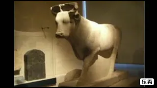 العجل أبيس إلى من يرمز أين كان يعبد فى أى مكان كان يعيش وأين كان يدفن من كان يعبدة 