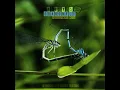 Dragonfly (Original Mix)