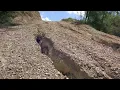 SLIPKNOT – I STILL LOVE YOU