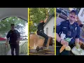 Funniest Compilation Guaranteed to Brighten Your Day