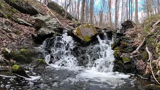 Moment of Zen - Baird Park