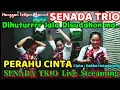 Download Lagu SENADA TRIO - Cover Lagu Joget \