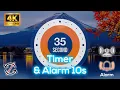 00 35s 35 Second TIMER with Tick Tock Sound Every Second and Alarm for 10s - No Loop