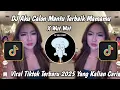 Download Lagu DJ AKU CALON MANTU TERBAIK MAMAMU X WUT WUT SOUND VIRAL TIKTOK TERBARU 2025