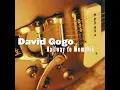 This Is A Man's World - David Gogo