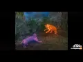 Download Lagu Manusia harimau 🐯 vs🦁(2)