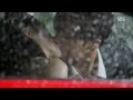Download Lagu Park Hyeongsik.Kiss to Lim Jiyeon who said the breakup.'Will you be with me?'@High Society 20150707