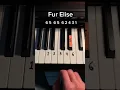 Download Lagu Fur Elise #piano #pianototurial #pianomusic #pianolessons