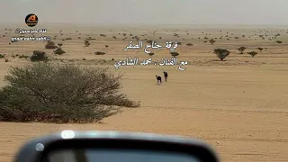 يابنت الاجواد والوالد في الضيق زبن الرجاجيل   جناح الصقر والشادي   قديم ونادر    حصري  دندنها