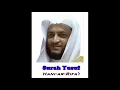 Download Lagu 12  Surah Yusuf Hani ar Rifa'i