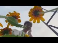Bibio - Lovers' Carvings (Cover)