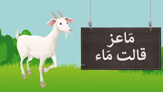 انشودة حرف الميم   الصف الأول الابتدائي   الفصل الدراسي الأول   لغتي   نشيد حرف م دندنها