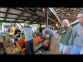 Best Things to Do in Ithaca New York