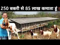 Download Lagu 3 लाख महीने की नौकरी छोड़ अपने गांव में आकर शुरू किया Goat Farming Business | African Boer Goat Farm