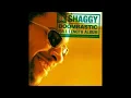 Download Lagu Shaggy - Mr Boombastic (Kisstory UK Dub)
