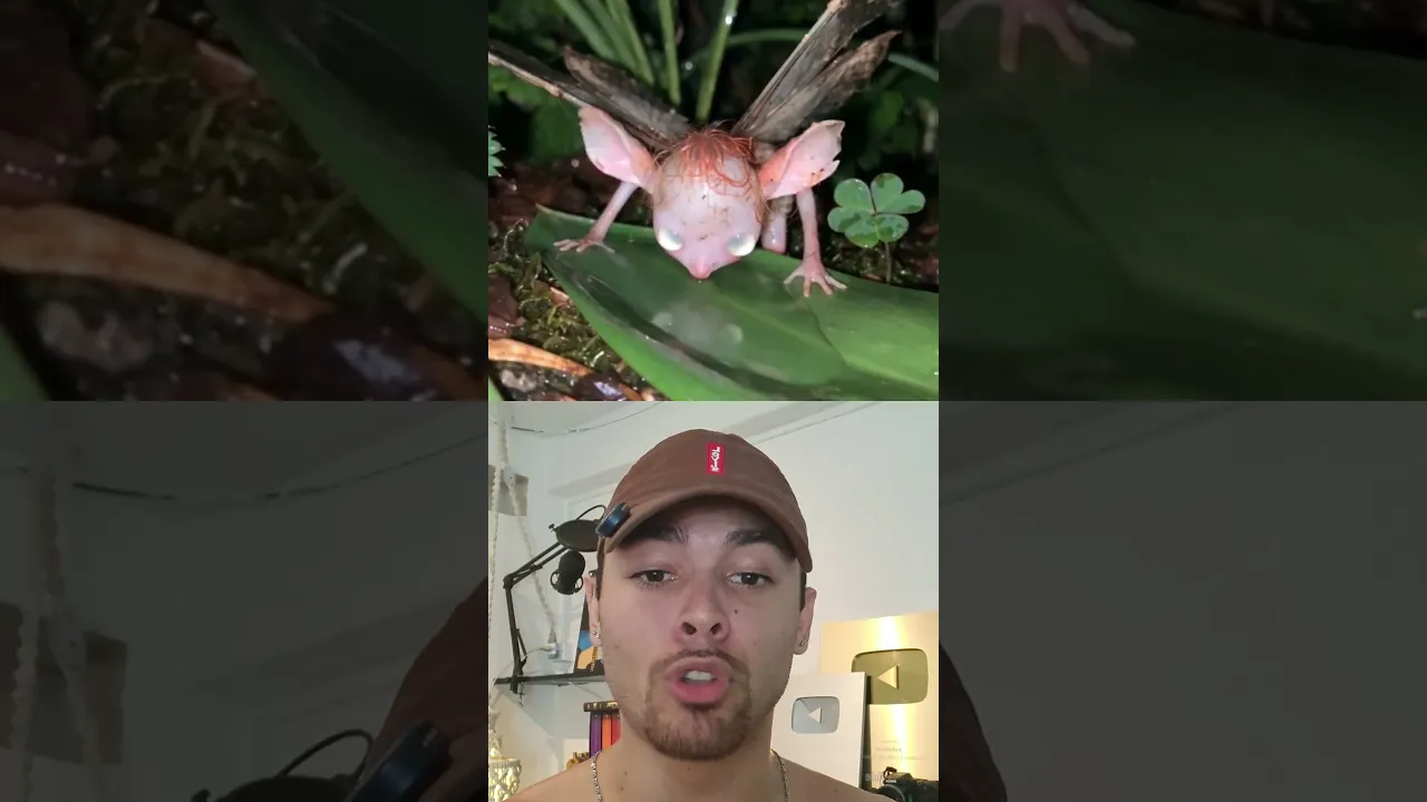 DESAFIO IMPUSSÍVEL