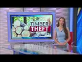 Leesville man charged with timber theft