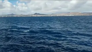 لقهوة البحرية   فيروز دندنها