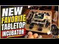 Vevor 48 Egg Incubator Review
