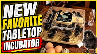 Vevor 48 Egg Incubator Review