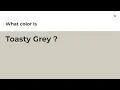 Toasty Grey color hex color - Grey color