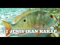 12 JENIS IKAN KAKAP YANG GAK BIKIN SALAH BELI