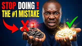 most people activate cowrie shells wrong heres why