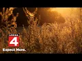 Michigan s dry weather extends pollen allergy season